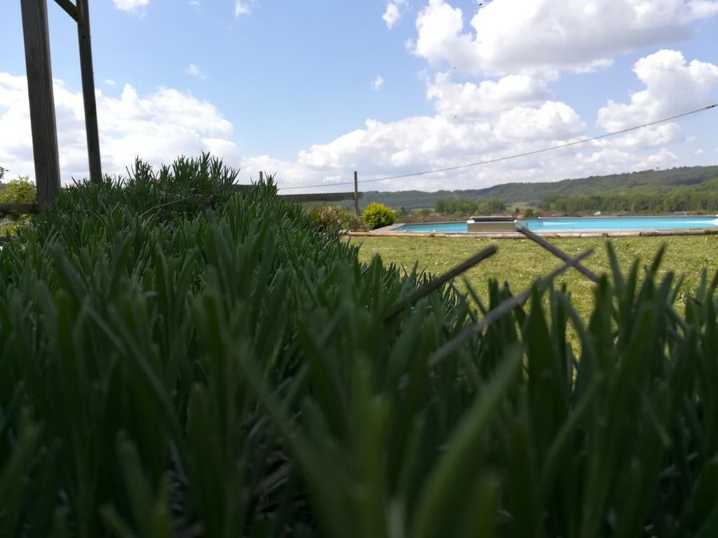 Villa La Guionie Montignac Lascaux Kültér fotó